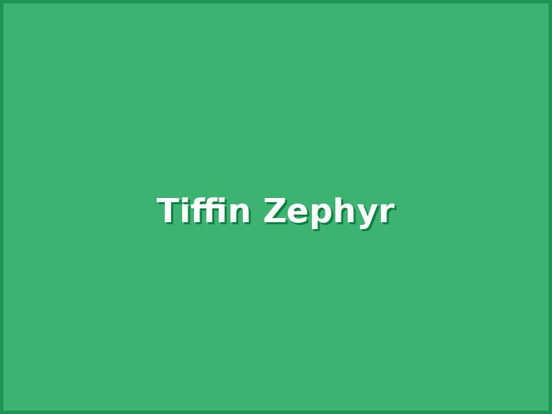 2002 Tiffin Zephyr RV